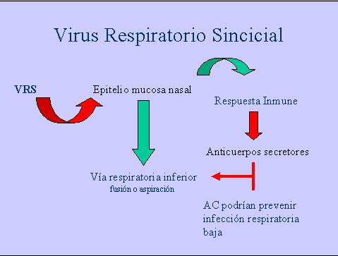 Figura1diapo5