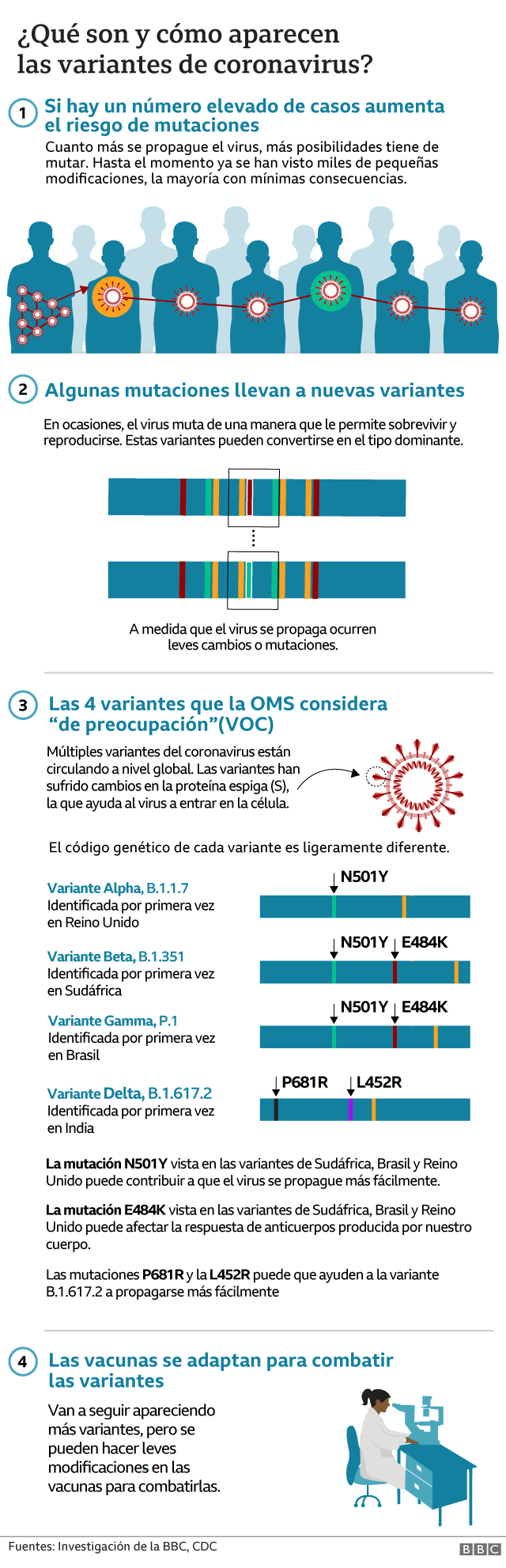  119004525 coronavirus variants v4 esp nc