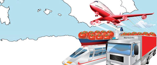 hort vs avion tren barco 600x250