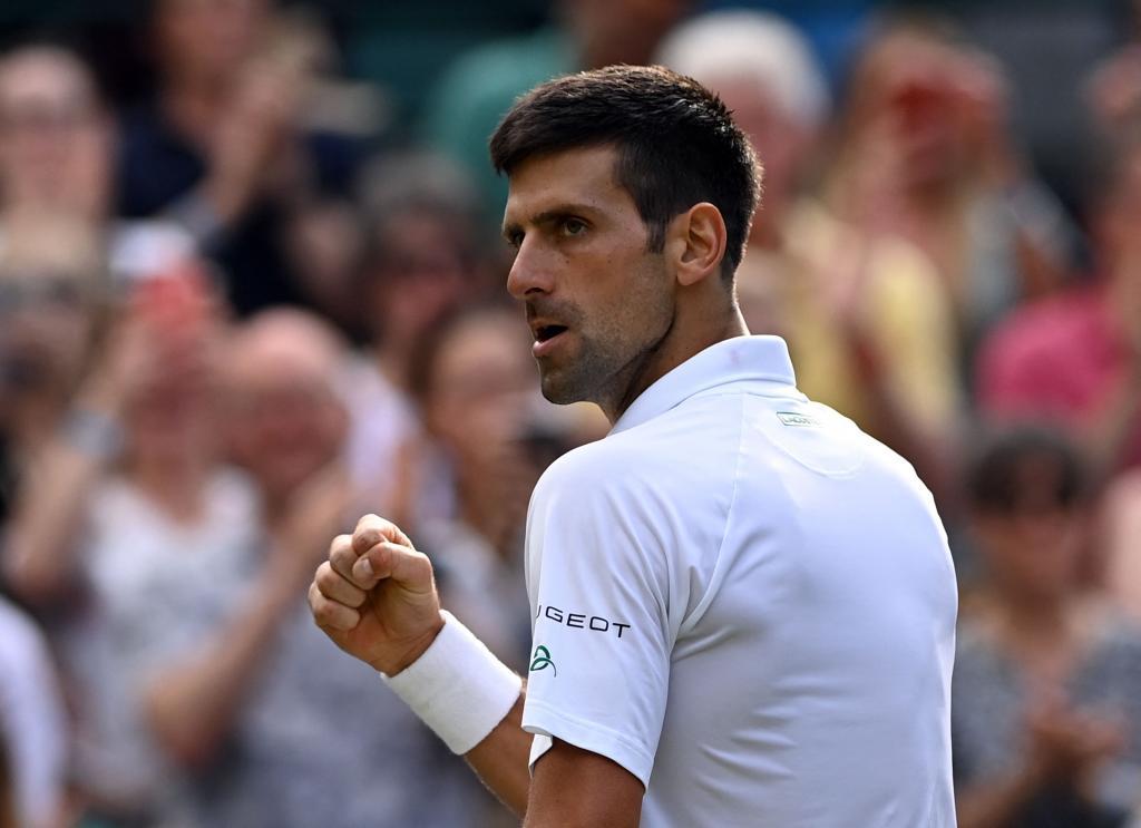DJOKOVIC NO GANÓ AL ESTADO AUSTRALIANO, GANÓ LA APLICACIÓN CORRECTA DE LA LEY