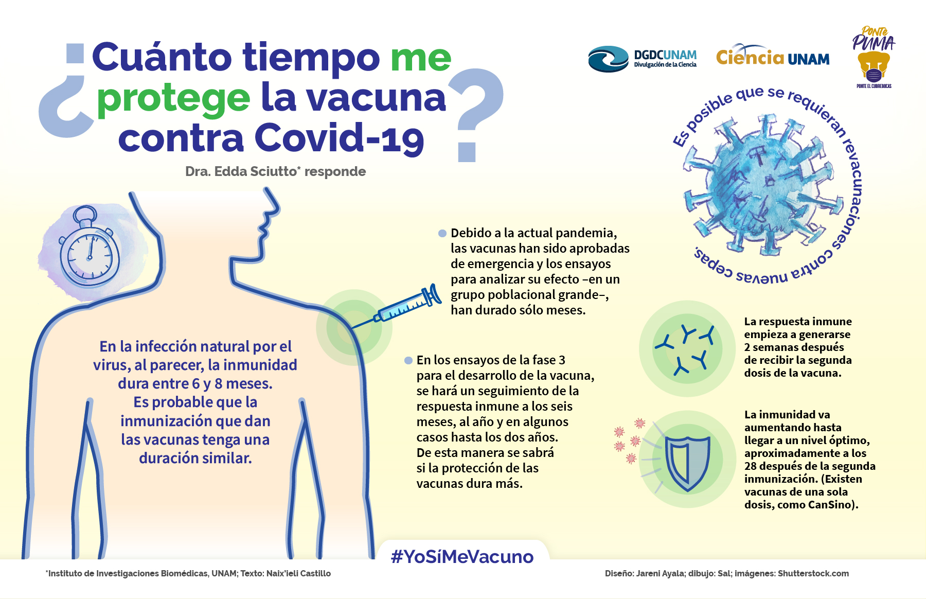 DURACION VACUNA