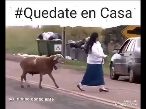 toque de queda chistes