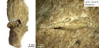 PALEOLITICO