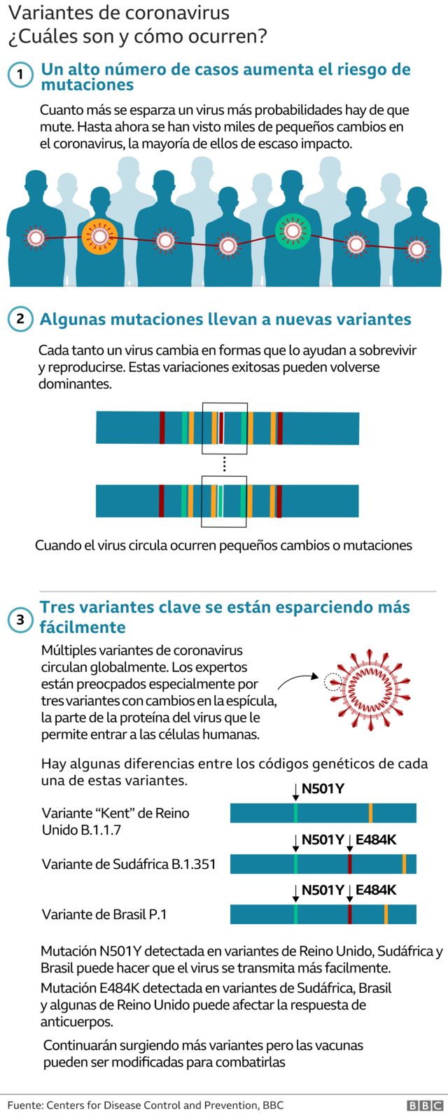  117354213 coronavirus last variants v3 inf640 nc 2x.png