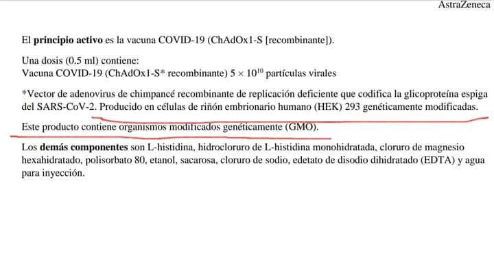 COMPOSICIÓN DE LA VACUNA ASTRAZENEKA ¿VERDAD O MENTIRA?