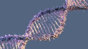 DNA