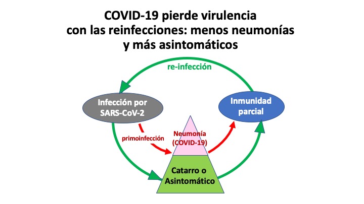 REINFECCION 3