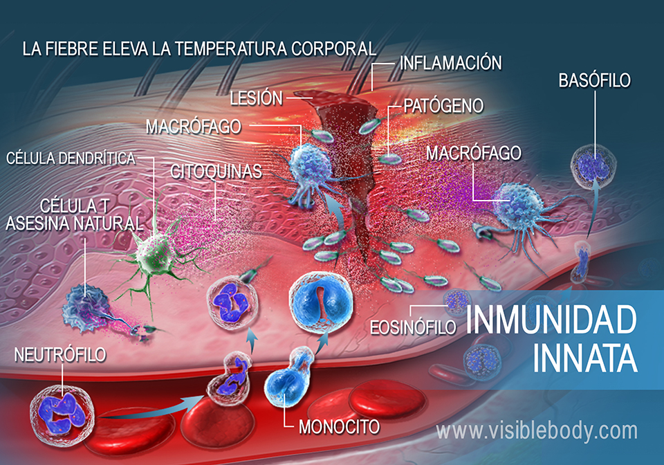 SPA 5B INMUNIDAD INNATA