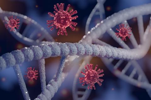 VARIANTE GENETICA 1