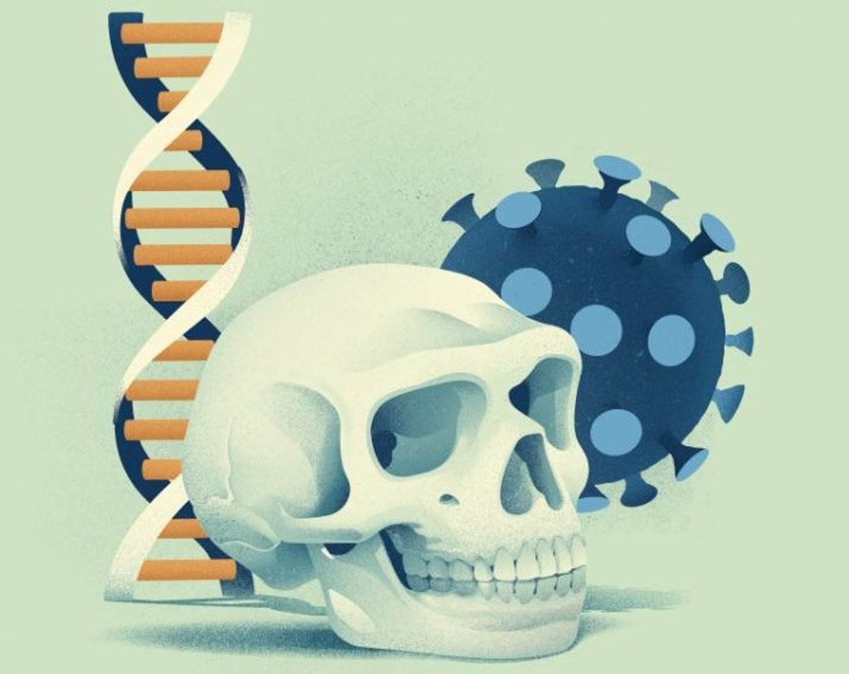 VARIANTE GENETICA 2