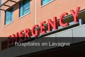 hospitales en lavagna