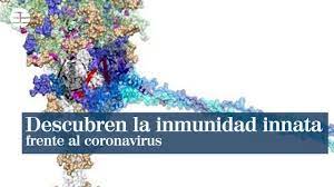 inmunidad