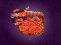 mcrobiota