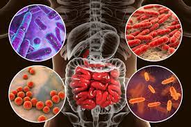 microbioma 3