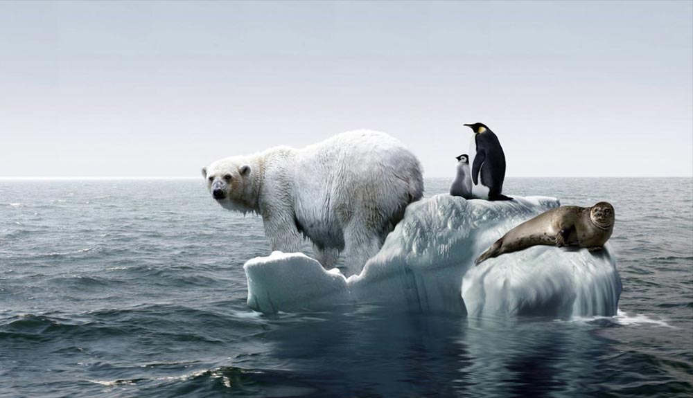 5c4ee1cd0ce694fa6f8b45ce 10 acciones para combatir el calentamiento global