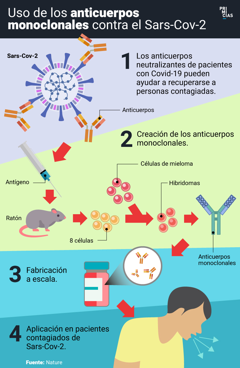 MONOCLONALES 2