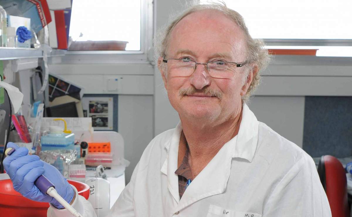 LA CIENCIA ESPERA HACER DEL CANCER UNA ENFERMEDAD CRONICA