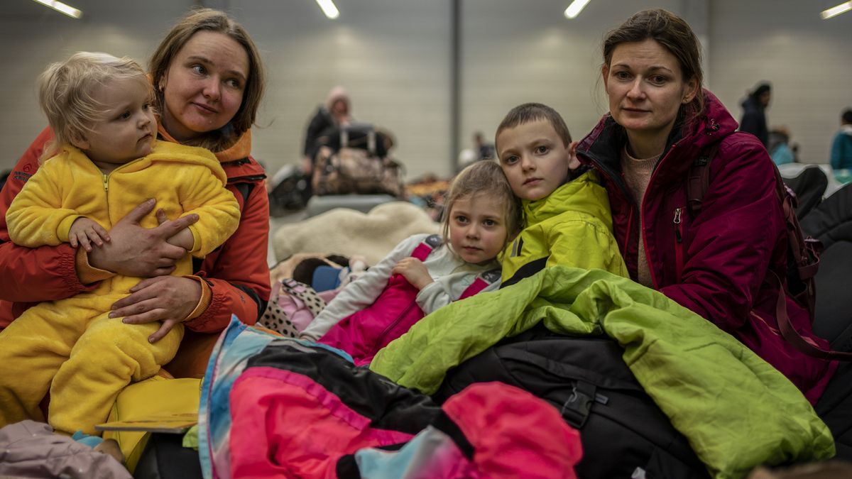 refugiados volver