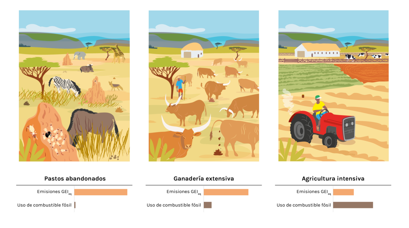 ganaderia y agricultura nuvea