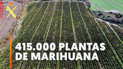 CAMPOS DE MARIHUANA EN NAVARRA