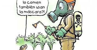 pesticidas y niños