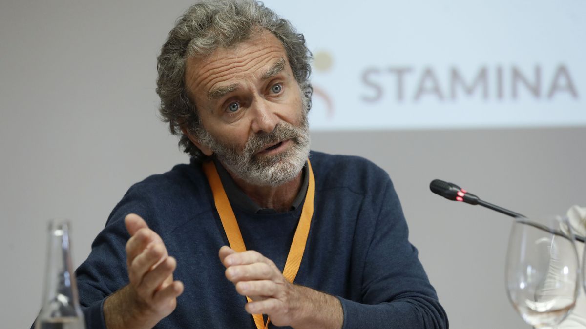 fernando simon 1