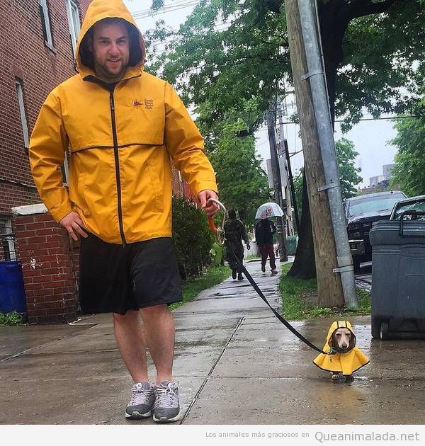 foto bonita hombre perro chubasquero amarillo lluvia