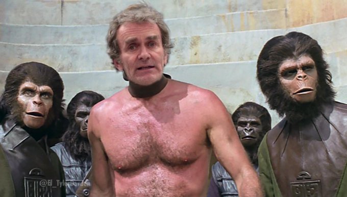 simon simio