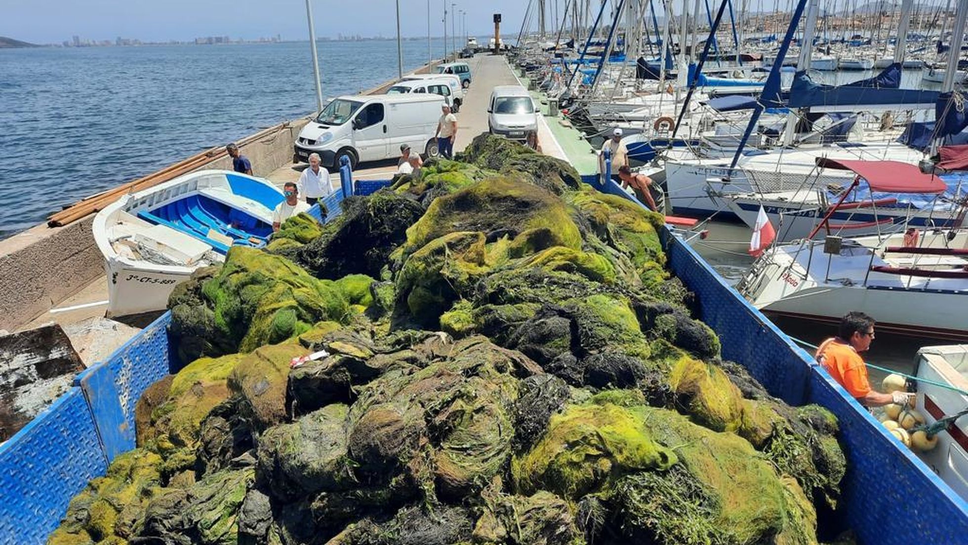 EL MAR MENOR ESTÁ ATEMORIZADO