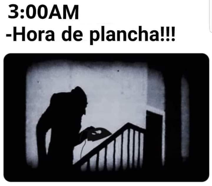 MEME LUZ