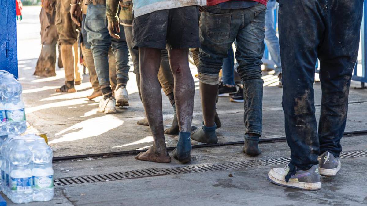 inmigrantes hridos