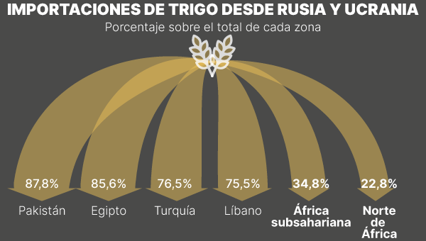 trigo