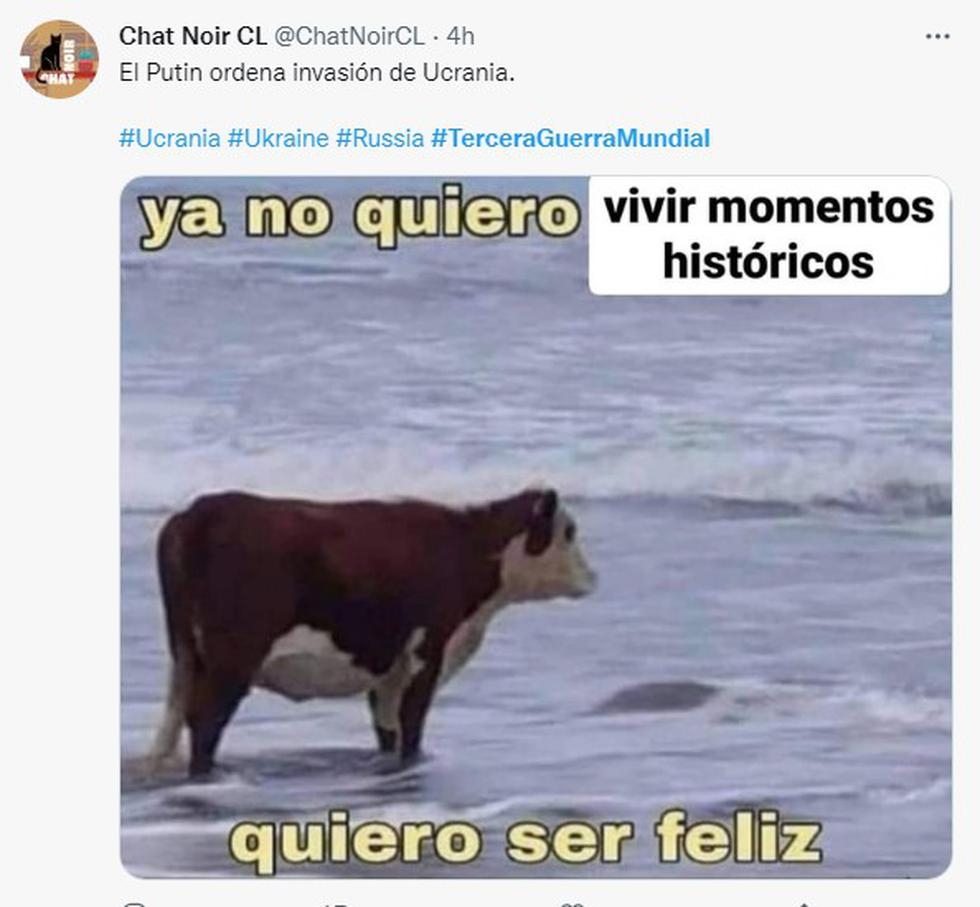 vaca
