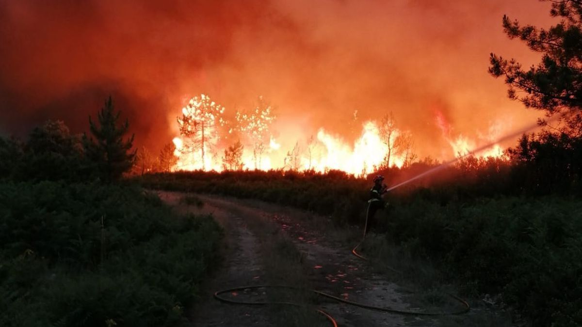 VUELVE EL CALOR- INCENDIOS: ¿NO SE PUEDE APRENDER?