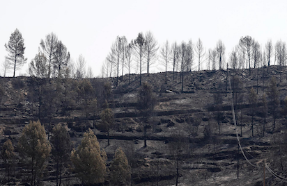 BAJAN LOS INCENDIOS: YA NO QUEDA QUÉ QUEMAR