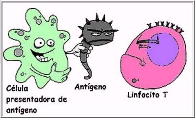 SIDA3