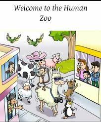 zoo humano