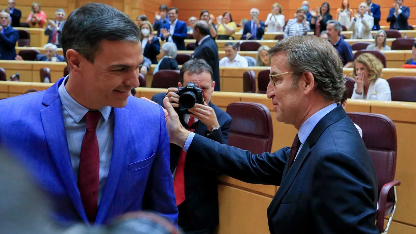 sanchez senado 3