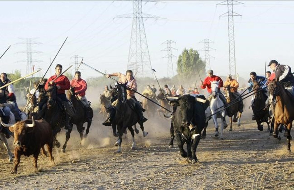 toro de la vega 2