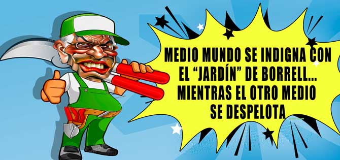 borrell 3