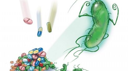 bacterias