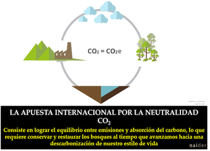 neutralidad co2 1 1024x732