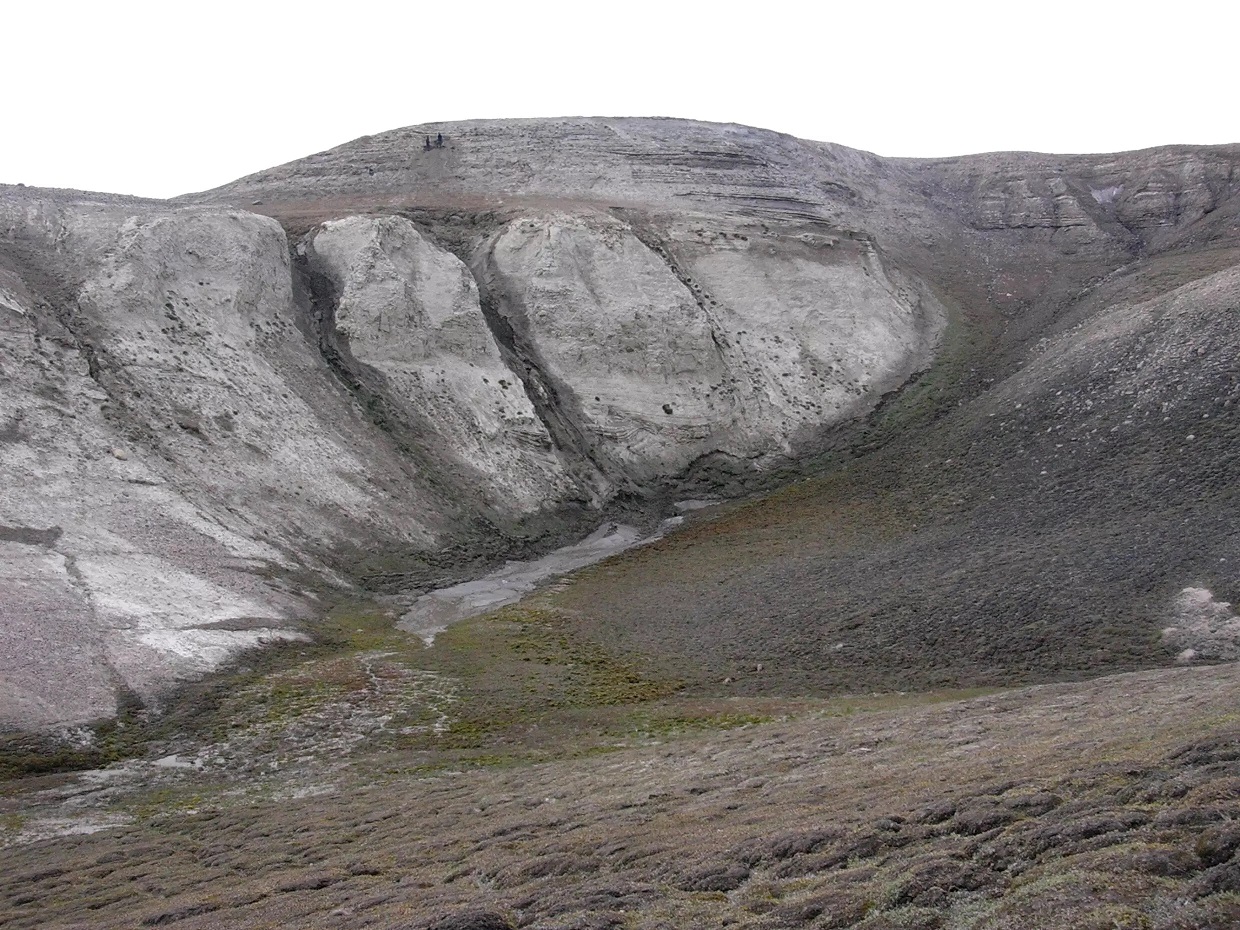 HACE 2 MILLONES DE AÑOS, EL PARAÍSO ESTABA EN GROENLANDIA