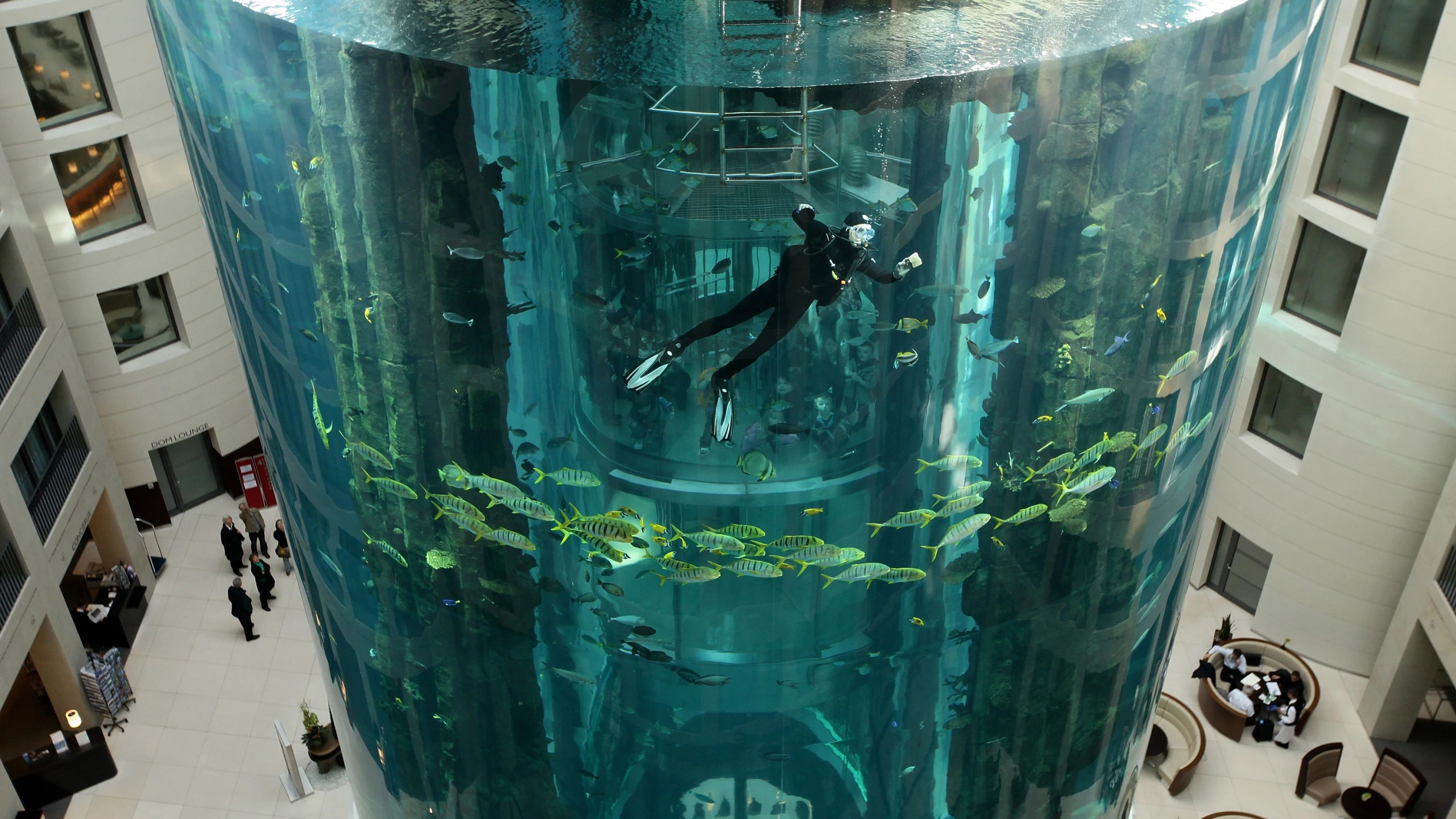 REVIENTA EL MAYOR ACUARIO DEL MUNDO, Y 1.500 PECES TROPICALES VAN A PARAR A LAS CLOACAS DE BERLÍN