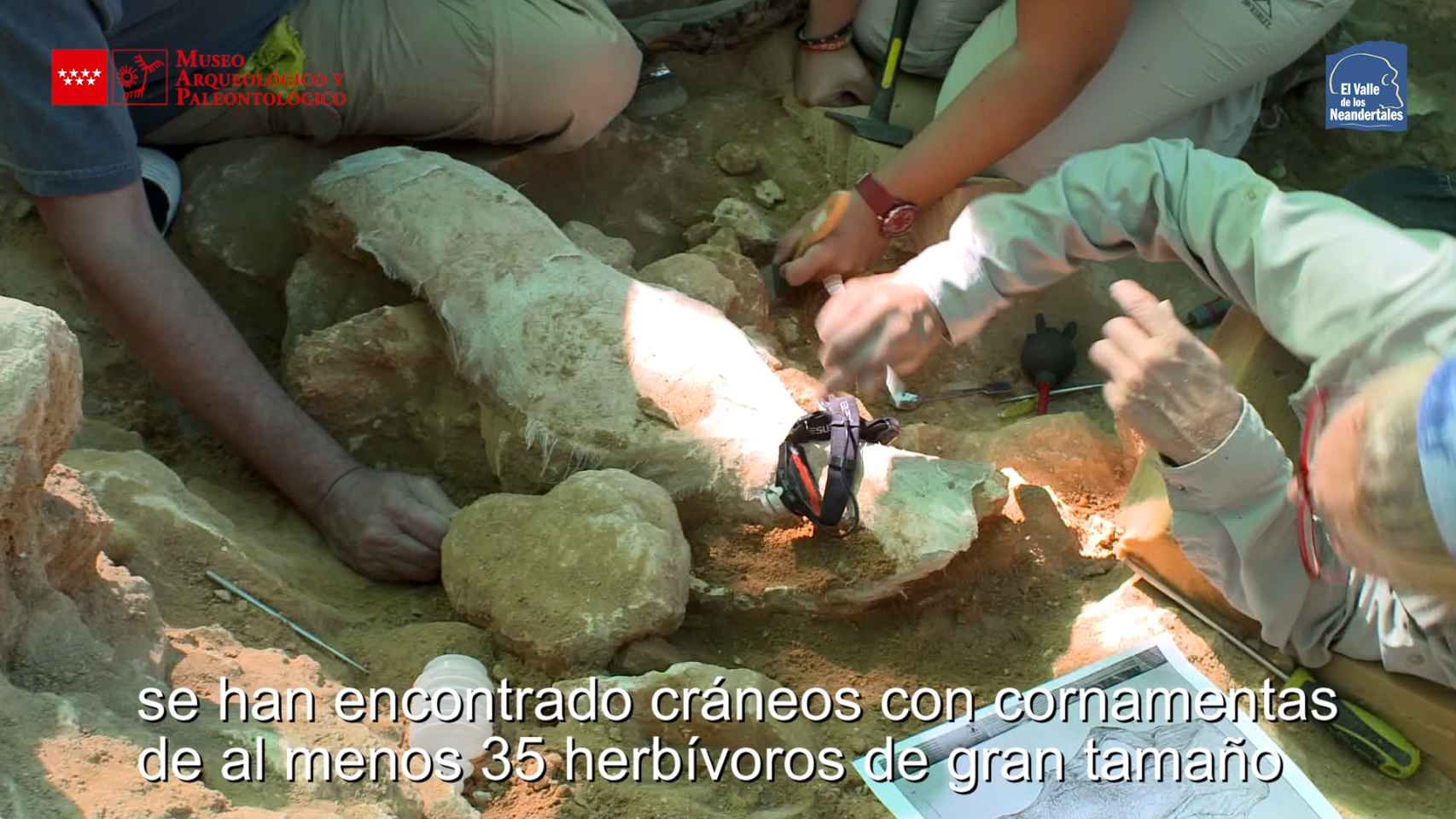 FANTASÍAS DE AYER Y HOY PRESENTA: EL HALLAZGO DE LOS 35 CRÁNEOS EN MADRID