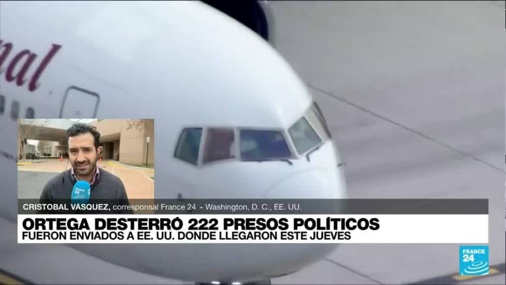 ortega 3