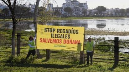 SIGUEN DISPUESTOS A DESTRUIR DOÑANA: ESTA VEZ LA DERECHA