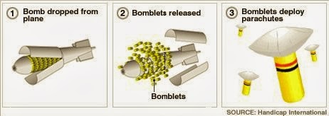 bimbas ss