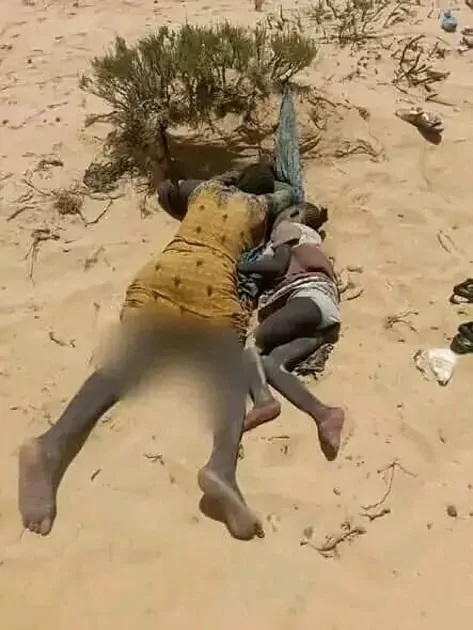 20230805 migra 3
