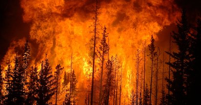 Canada es un pais con mucha vegetacion donde los incendios forestales son comunes sobre todo en ver